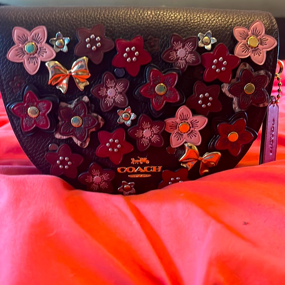 Coach Ellen Crossbody Bag